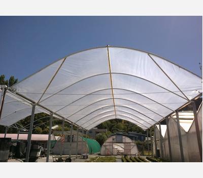 image of Polygro Greenhouse Film 200Mu Natural 2m Wide 50m Roll
