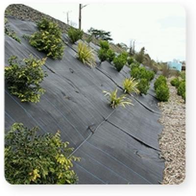 image of Ground Cover/Liners