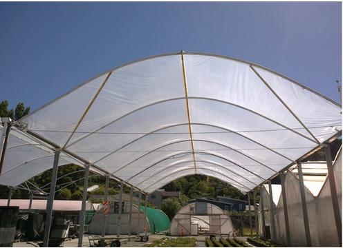 product image for Polygro Greenhouse Film 200Mu Natural 2m Wide 50m Roll